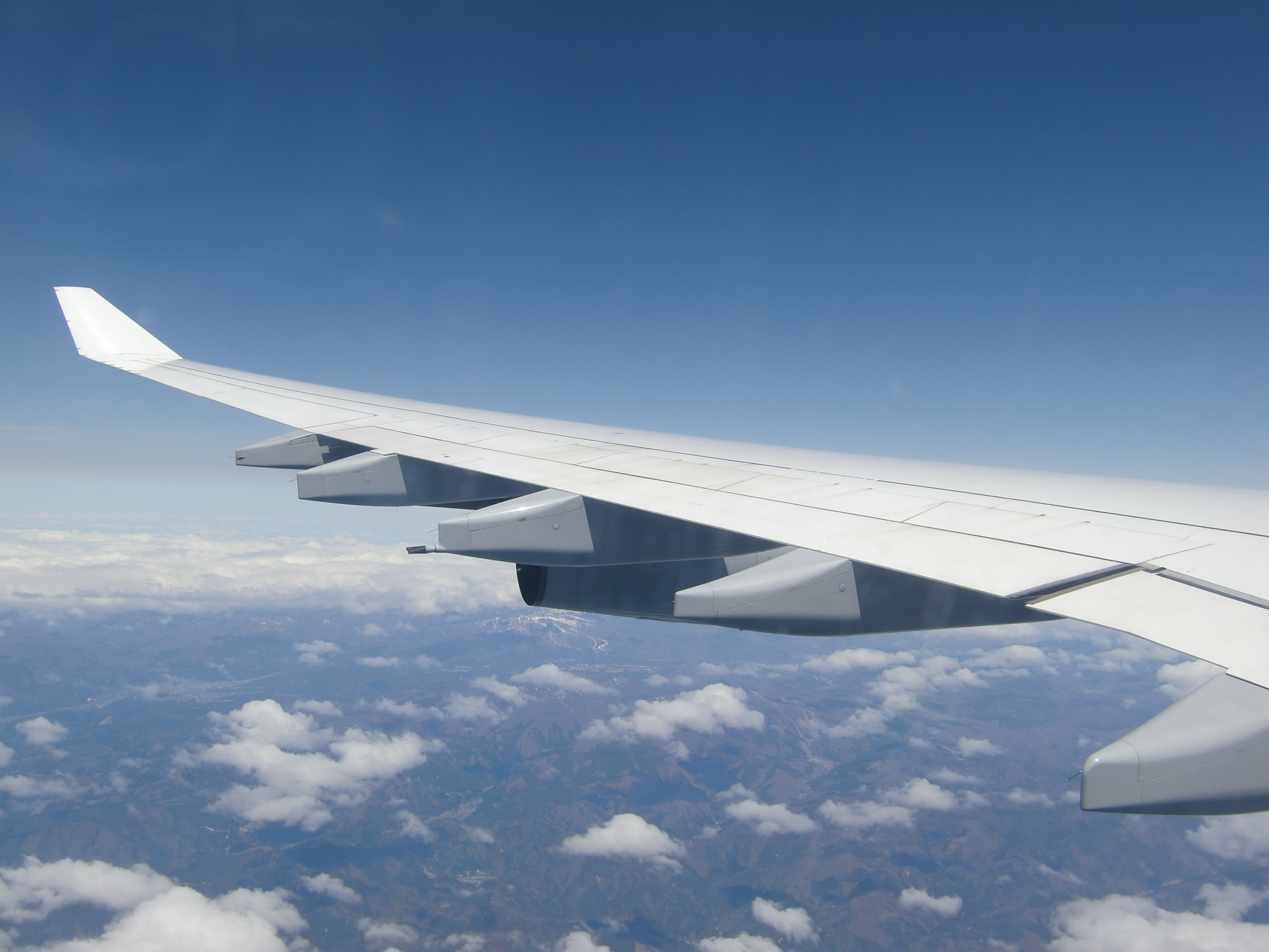 SCAJ　2024　珈琲イベントに出店しました